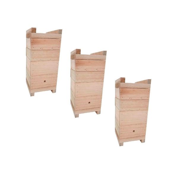 Kit 3 Caixas para Abelhas Jataí INPA 12x12cm Madeira Eucalipto Estrutura Modular Completa Beethoven Agropet Kit 3 Caixas para Abelhas Jataí INPA 12x12cm em Eucalipto com Tampa Melgueiras Ninho Beethoven